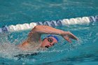 Swimming vs Bentley  Wheaton College Swimming & Diving vs Bentley College. - Photo by Keith Nordstrom : Wheaton, Swimming & Diving